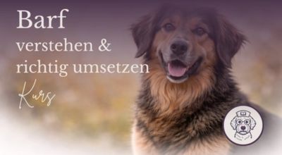BARF Frische, rohe Mahlzeiten für deinen Hund