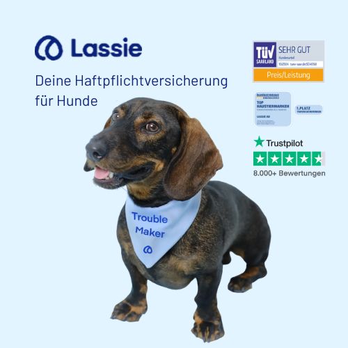Lassie Hundehaftpflicht Hundehaftpflichtversicherung