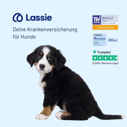 Lassie Hundekrankenversicherung