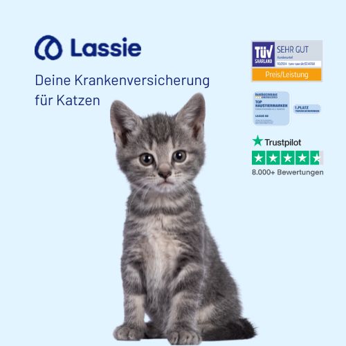 Lassie Katzenkrankenversicherung