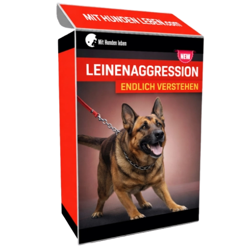 Leinenaggression bei Hunden Onlinekurs