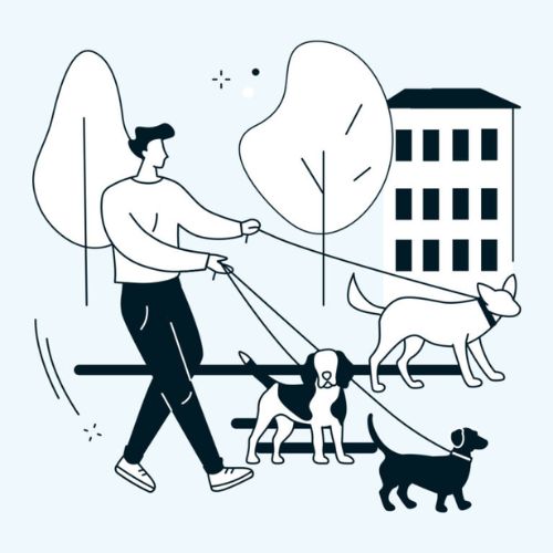 Barmenia Hundehalter Haftpflicht